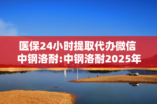 医保24小时提取代办微信 中钢洛耐:中钢洛耐2025年度业绩快报公告