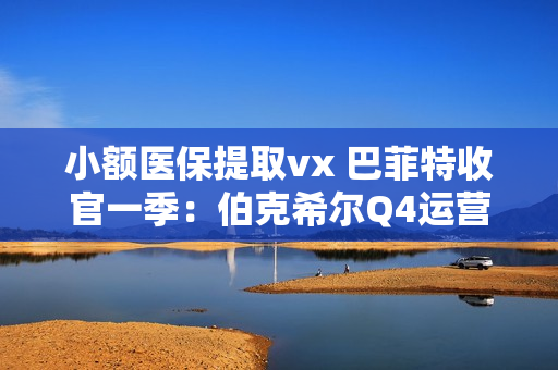 小额医保提取vx 巴菲特收官一季：伯克希尔Q4运营利润大跌近30%