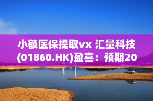 小额医保提取vx 汇量科技(01860.HK)盈喜：预期2025年归母净利同比增长约243.9%至307.6%